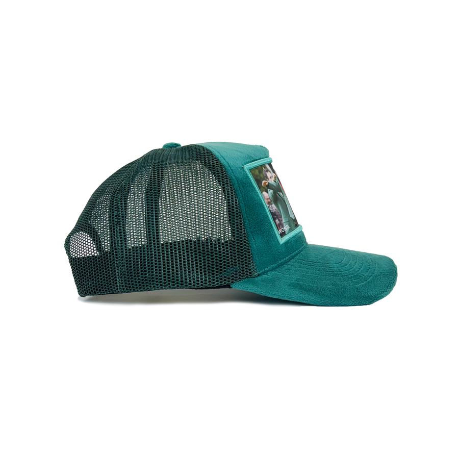 C2 - MASTERS VELVET CAP